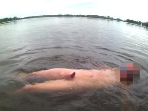 Risky naked outdoor swim in lake with soft dick (no cum)