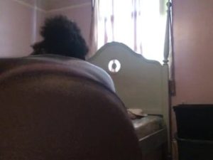 ass clapping