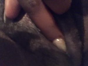 playing with my wet pussy while house sitting for my neighbor